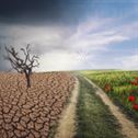 landscape-change-climate-stockpack-pixabay.jpg landscape, change, climate