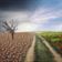landscape-change-climate-stockpack-pixabay.jpg landscape, change, climate
