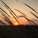 light-dawn-landscape-sunset-stockpack-pexels.jpg Light dawn landscape sunset