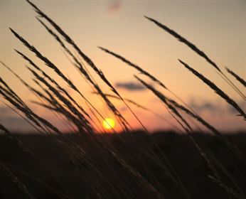 light-dawn-landscape-sunset-stockpack-pexels.jpg Light dawn landscape sunset