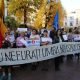 Cernauti Proteste