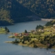 Colibita 0059