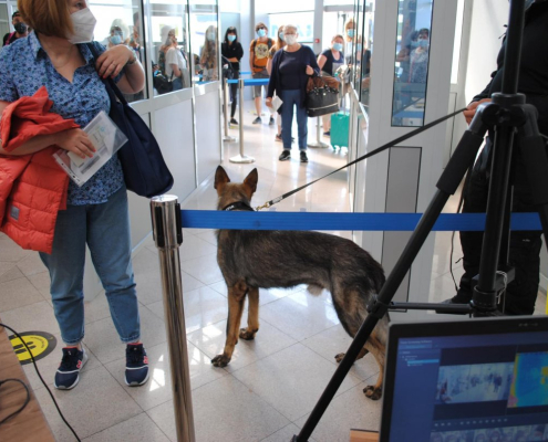 Caini Aeroport Covid 9 Mofh