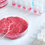 carne laborator Carne Laborator