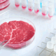 carne laborator Carne Laborator