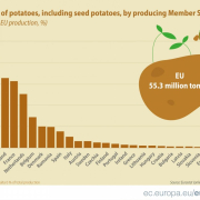 cartofi UE romania Cartofi Ue Romania