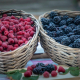fructe de padure Fructe De Padure