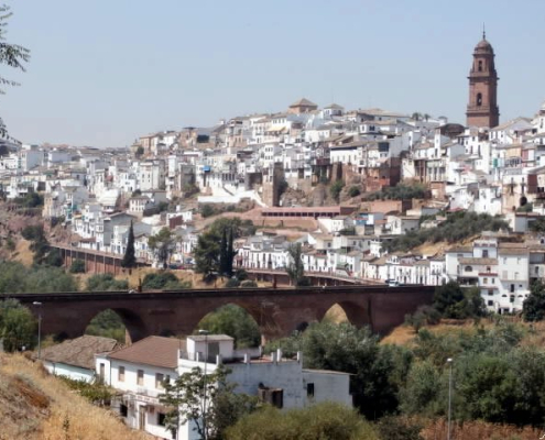 montoro Montoro