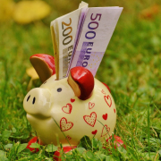 piggy bank, money, dollar bill
