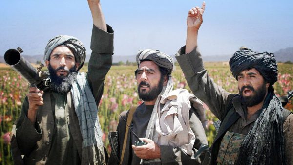 Skynews Afghanistan Drugs Taliban 5483866