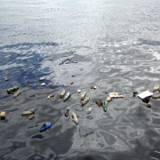 water-polluted-plastic-stockpack-pixabay.jpg water, polluted, plastic