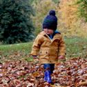 child-autumn-cute-stockpack-pixabay.jpg child, autumn, cute