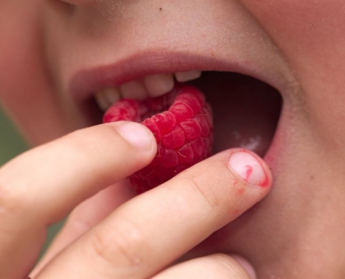 child-raspberry-summer-stockpack-pixabay.jpg child, raspberry, summer