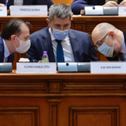 Coalitie
