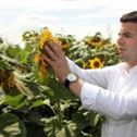 daniel_constantin agricultura Daniel Constantin Agricultura