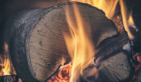 log, wood, fire