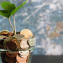 salariul minim Salariul Minim