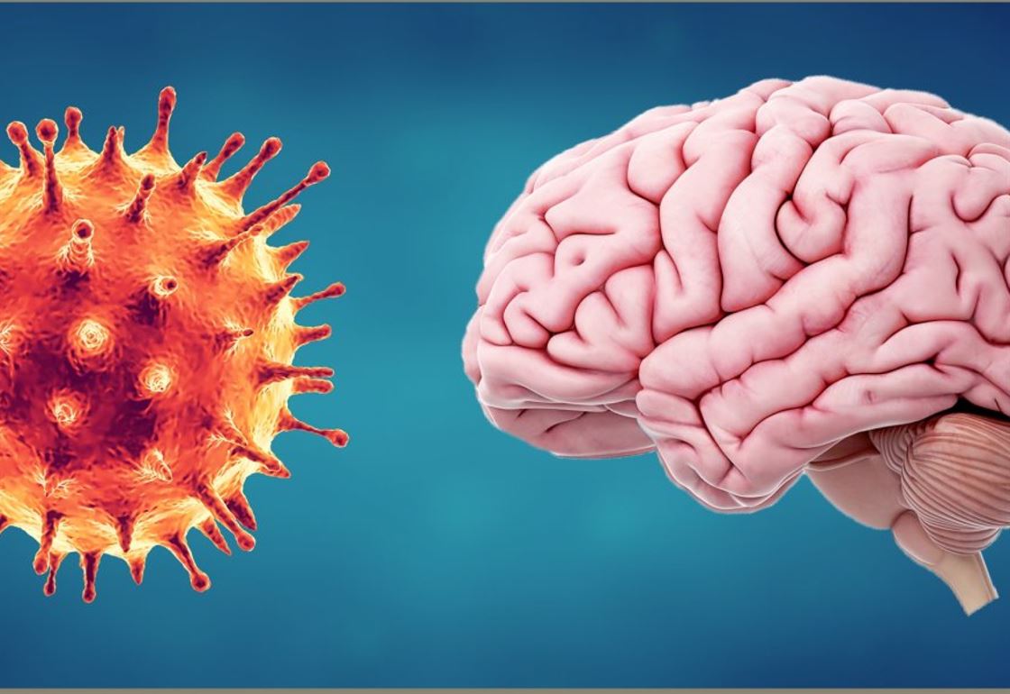 Covid Brain Crop