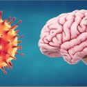 Covid-brain-crop Covid Brain Crop