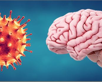 Covid-brain-crop Covid Brain Crop