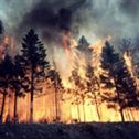 Incendiu-pădure Incendiu Pădure