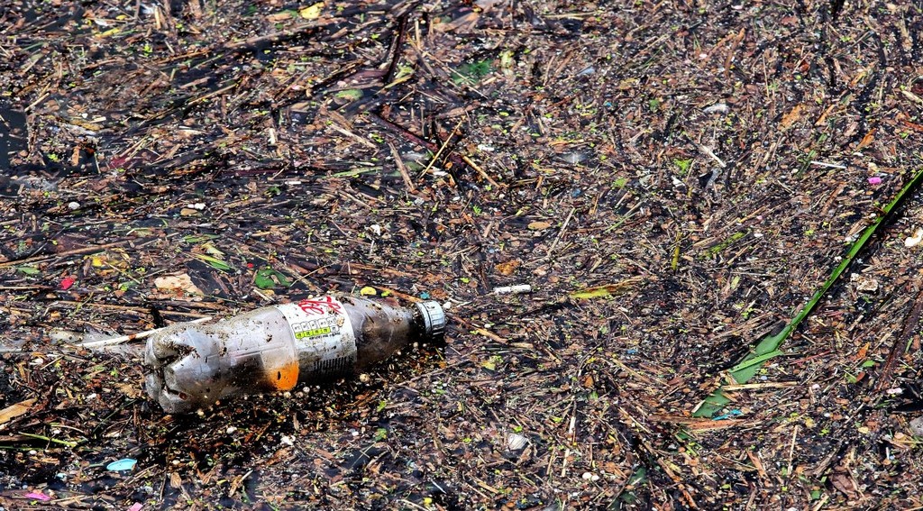 bottle-waste-pollution-stockpack-pixabay.jpg bottle, waste, pollution
