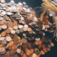 cash-coins-money-pattern-stockpack-pexels.jpg Cash coins money pattern