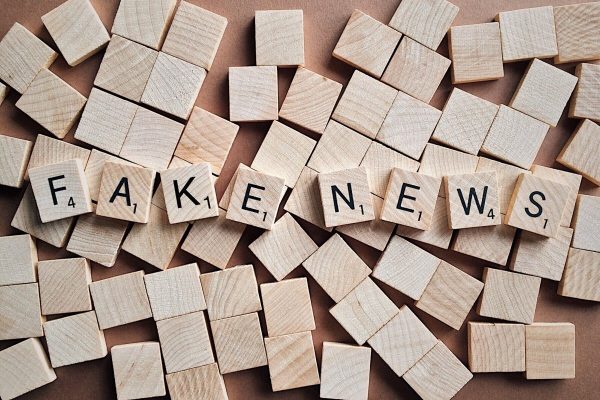 fake, news, media
