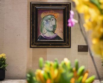 picasso Im 382830
