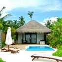 maldives-coconut-tree-sea-stockpack-pixabay.jpg maldives, coconut tree, sea