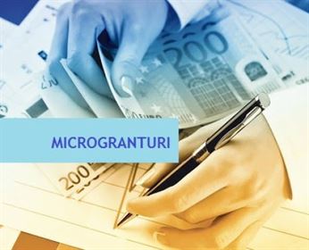 microgranturi Microgranturi
