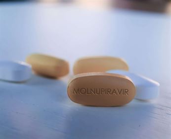 Molnupiravir