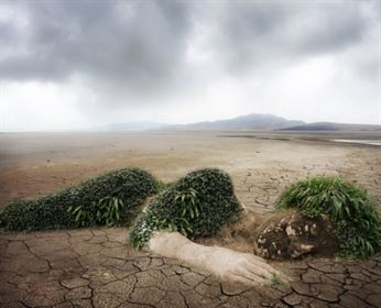 nature-environment-environmental-protection-stockpack-pixabay.jpg nature, environment, environmental protection