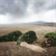 nature, environment, environmental protection
