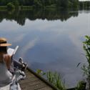 reading, lake, summer