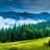 romania bucovina Romania Bucovina