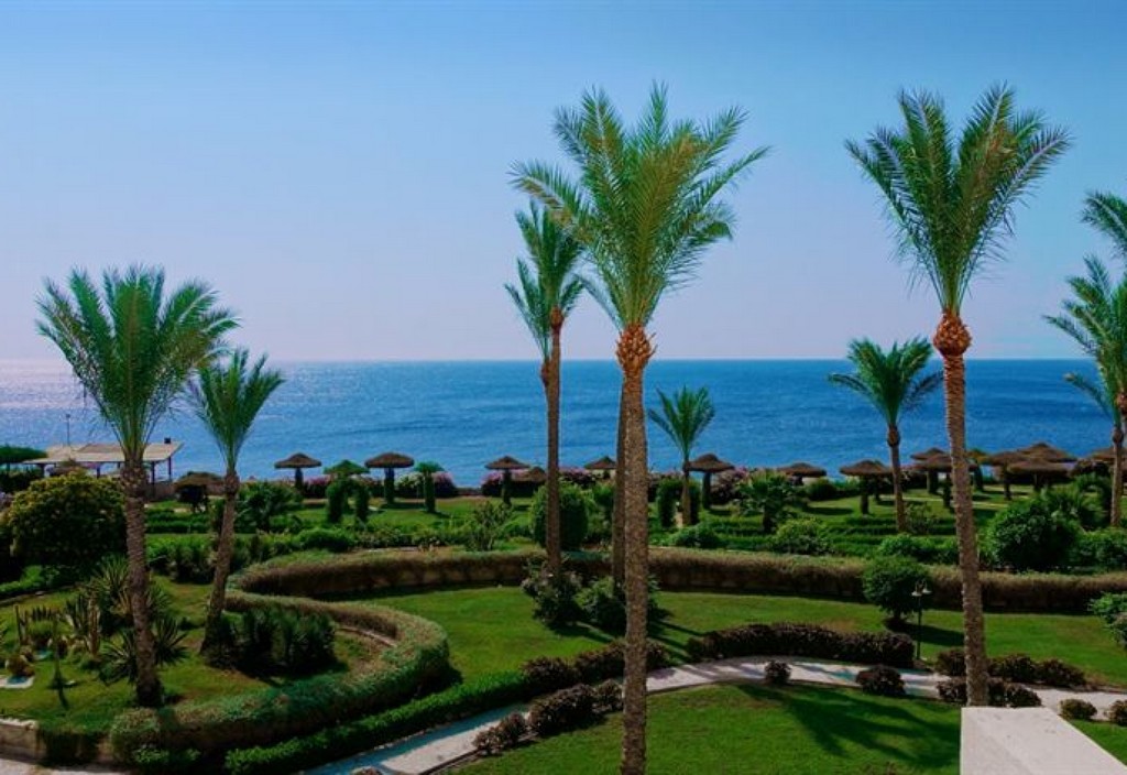 sea-egypt-palm-trees-stockpack-pixabay.jpg sea, egypt, palm trees