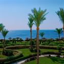 sea-egypt-palm-trees-stockpack-pixabay.jpg sea, egypt, palm trees