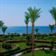 sea-egypt-palm-trees-stockpack-pixabay.jpg sea, egypt, palm trees