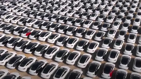 Teslas In Parking Lot