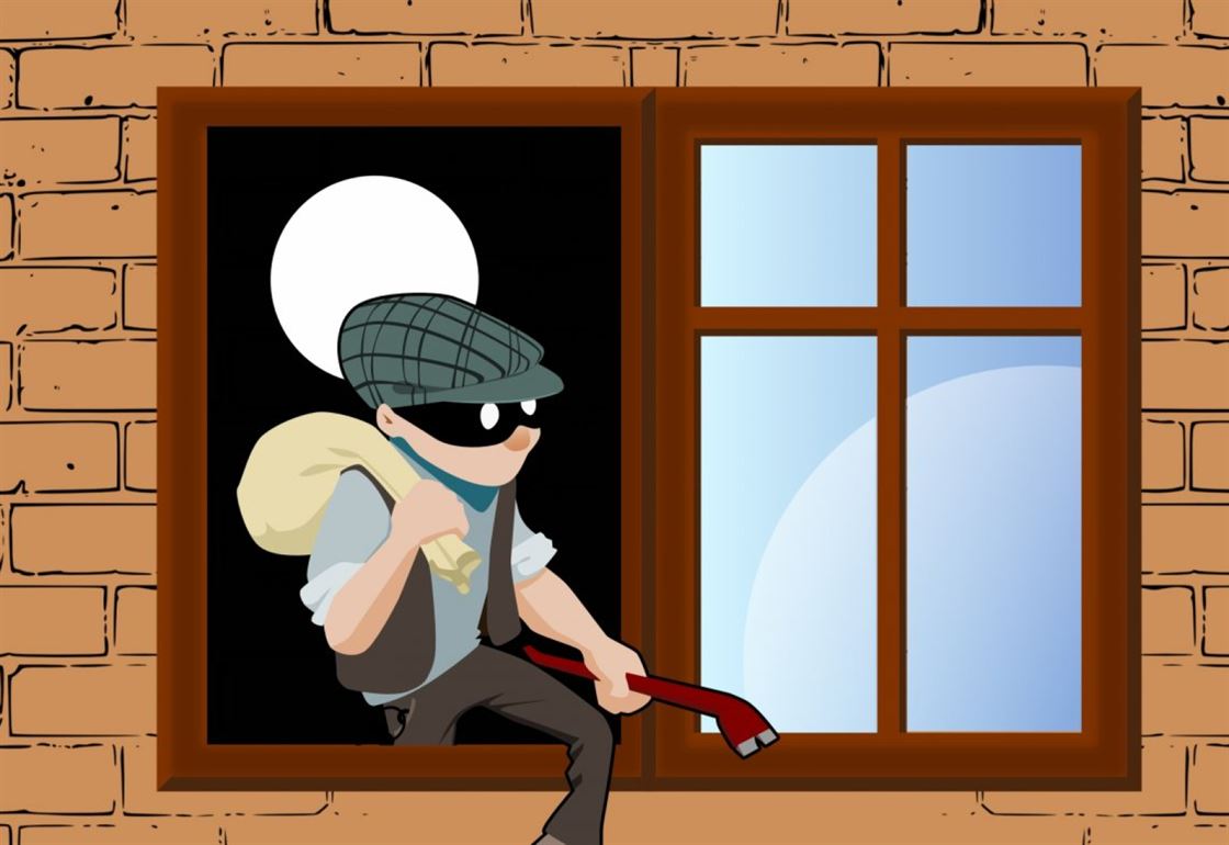thief, steal, house