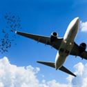 transport-traffic-to-travel-stockpack-pixabay.jpg transport, traffic, to travel