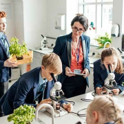 Ofsted_14774_t12 Ofsted 14774 T12