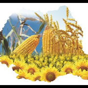 agricultura romania Agricultura Romania