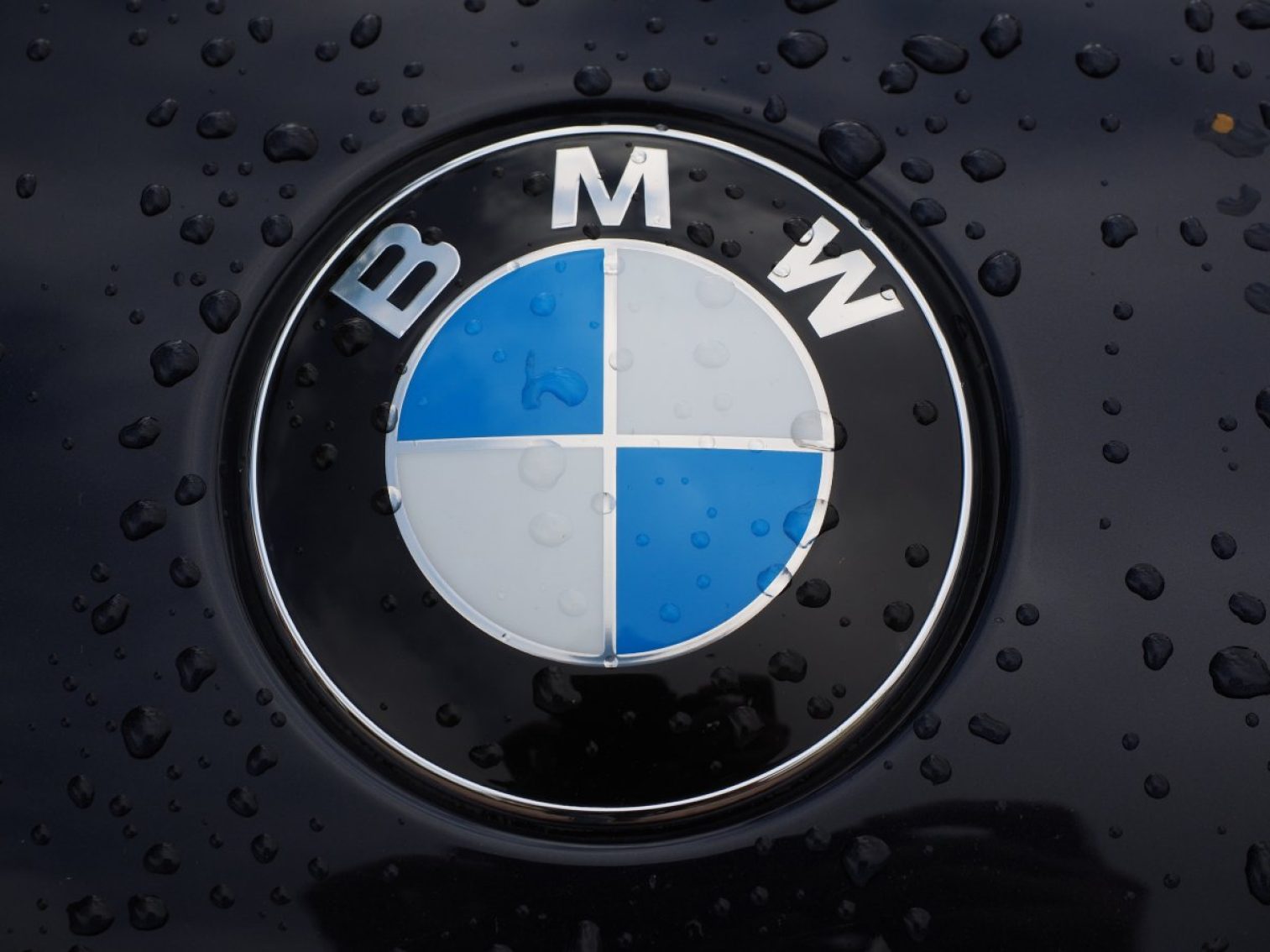 bmw, logo, car brand