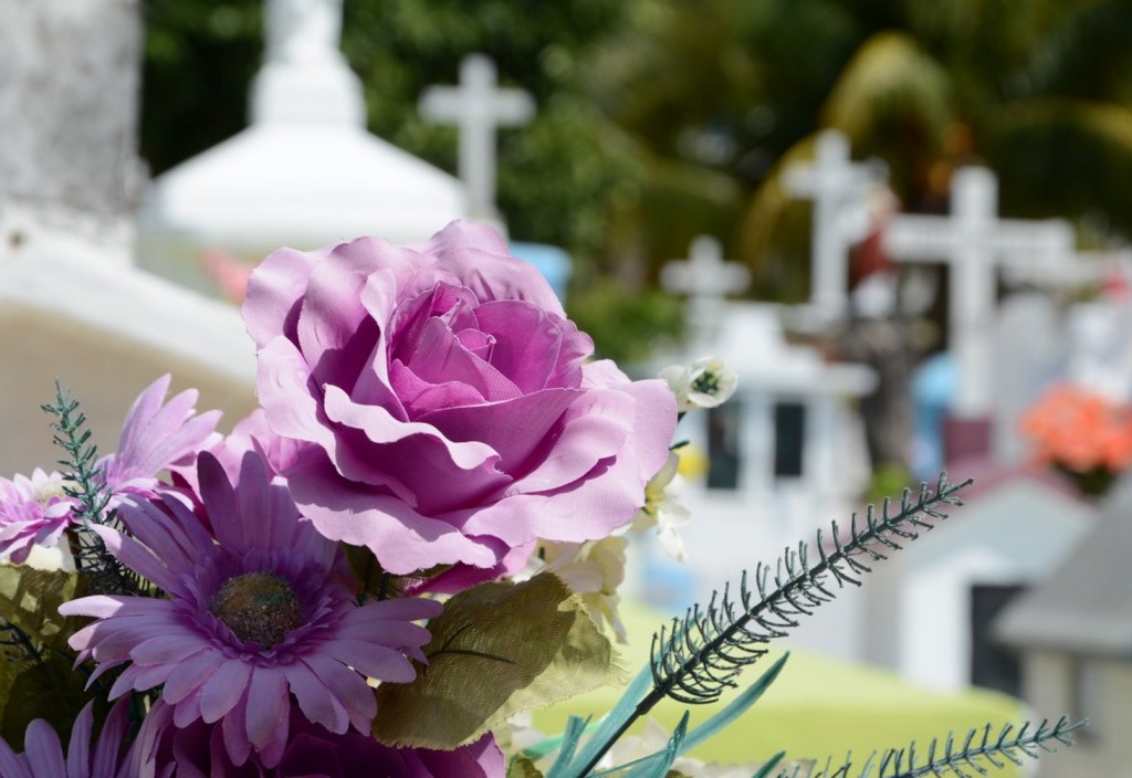cementerio-flor-cemetery-stockpack-pixabay.jpg cementerio, flor, cemetery
