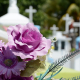 cementerio-flor-cemetery-stockpack-pixabay.jpg cementerio, flor, cemetery
