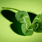 clover-four-leaf-clover-green-stockpack-pixabay.jpg clover, four leaf clover, green