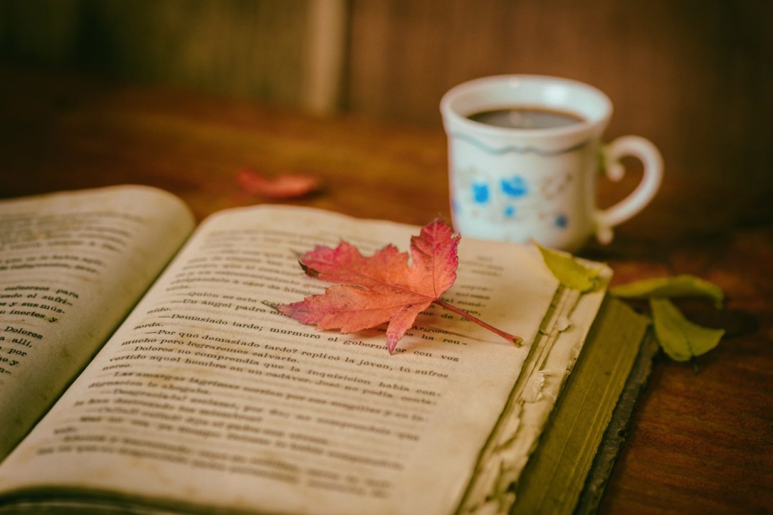 leaves, coffee, cup
