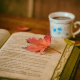 leaves-coffee-cup-stockpack-pixabay.jpg leaves, coffee, cup